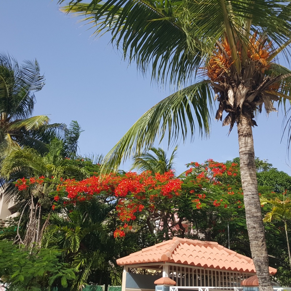 Meet your Posher, Vee